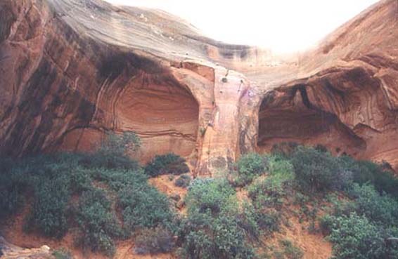 cavept2.jpg (43590 bytes)