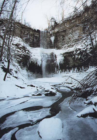 fallcreek10.jpg (69424 bytes)