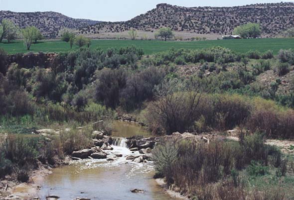 mcelmo.jpg (56387 bytes)