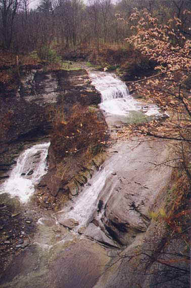 silverlk10.jpg (53252 bytes)