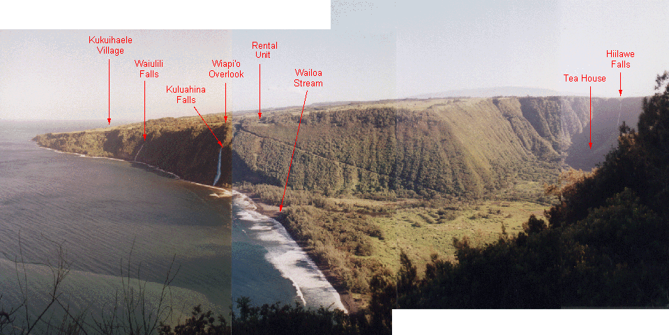 waipio2.GIF (271287 bytes)