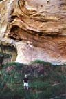 calf1.jpg (16580 bytes)