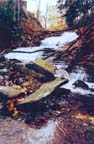MCMILLAN1.jpg (13793 bytes)