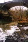 silverlk11.jpg (10653 bytes)
