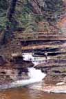 stonybrook11.jpg (11757 bytes)
