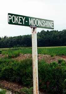 pokey-moonsign.jpg