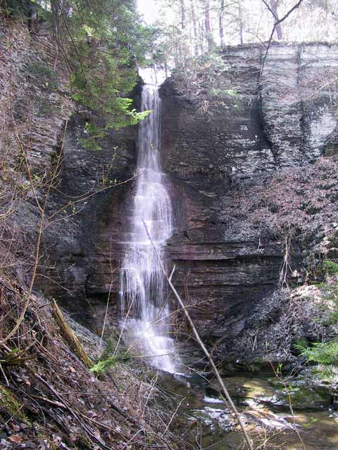 lick5.jpg (85044 bytes)