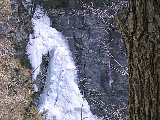 lick5.jpg (85044 bytes)
