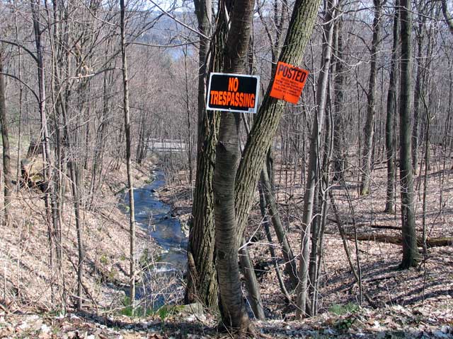lick5.jpg (85044 bytes)