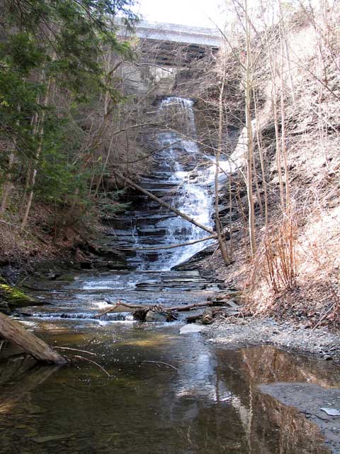 lick5.jpg (85044 bytes)