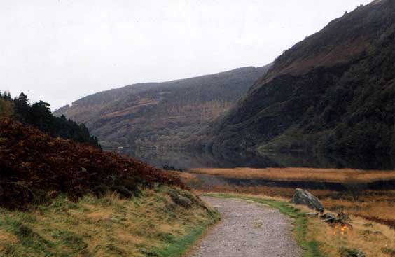 beesula2.jpg (28470 bytes)