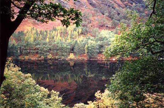 beesula3.jpg (67734 bytes)