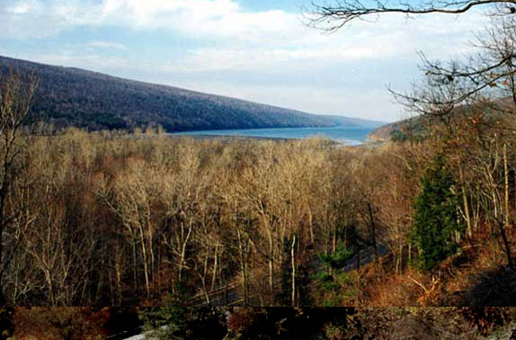 countyline2.jpg (64062 bytes)