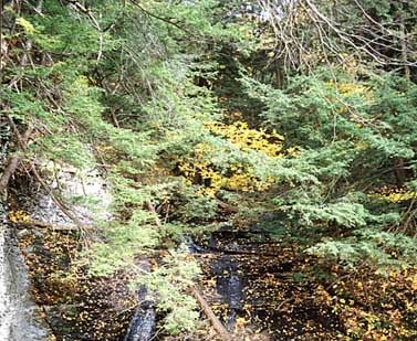 lick3a.jpg (59277 bytes)