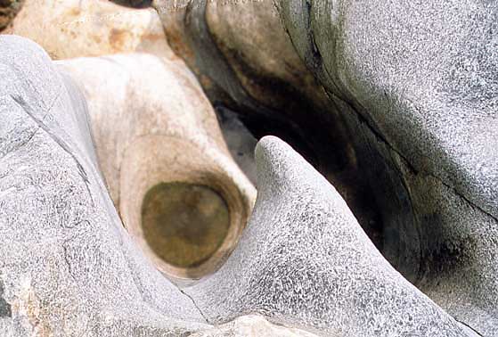 shelb3a.jpg (54553 bytes)