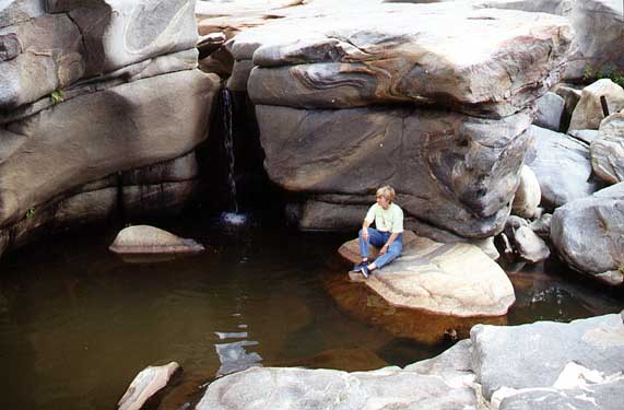 shelb4.jpg (40043 bytes)