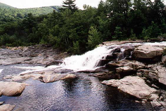 shelb5.jpg (57608 bytes)