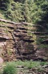 Johnson2a.jpg (13576 bytes)